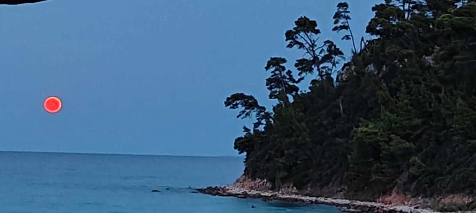 Sea & Forest Kallithea  Eksteriør bilde